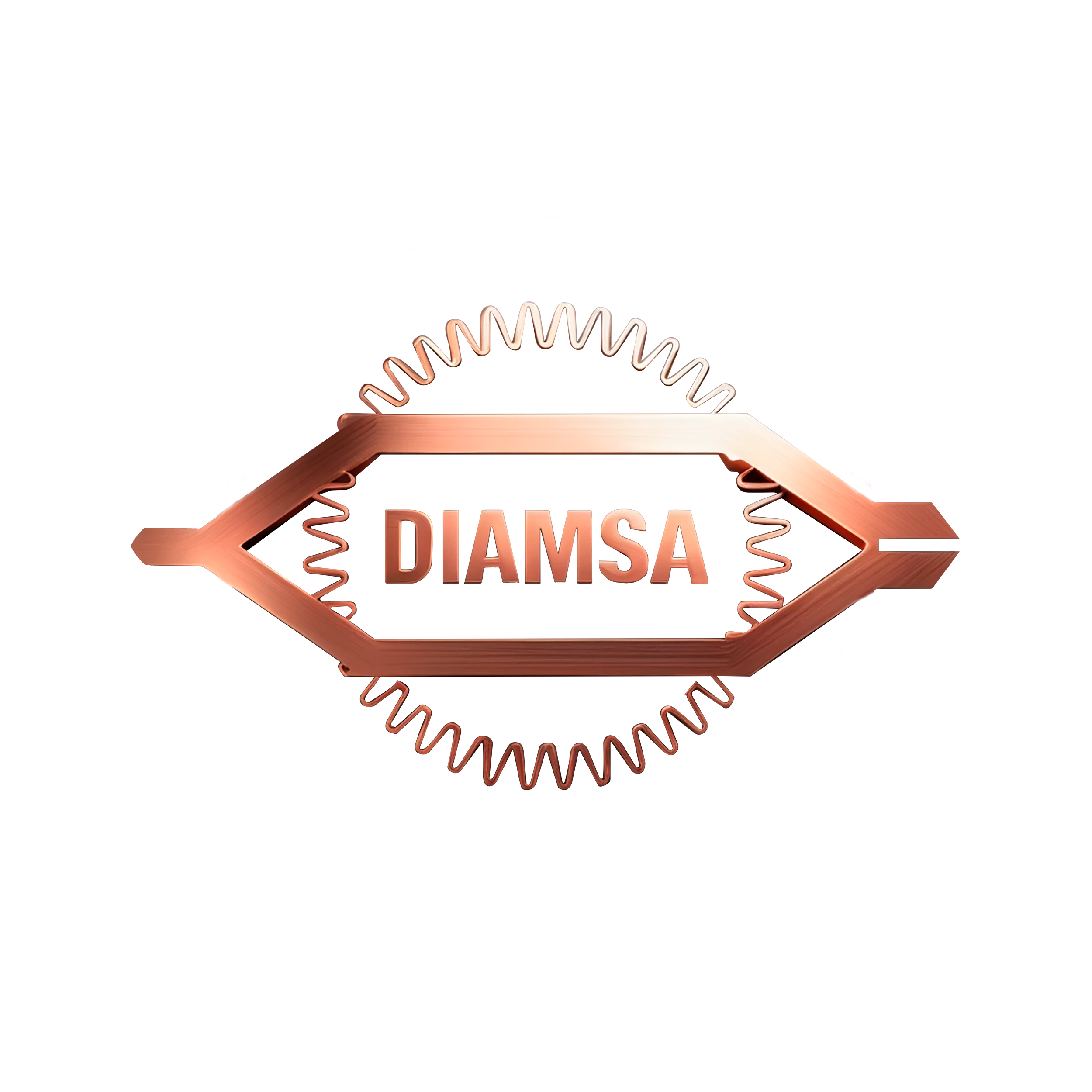DIAMSA Logo